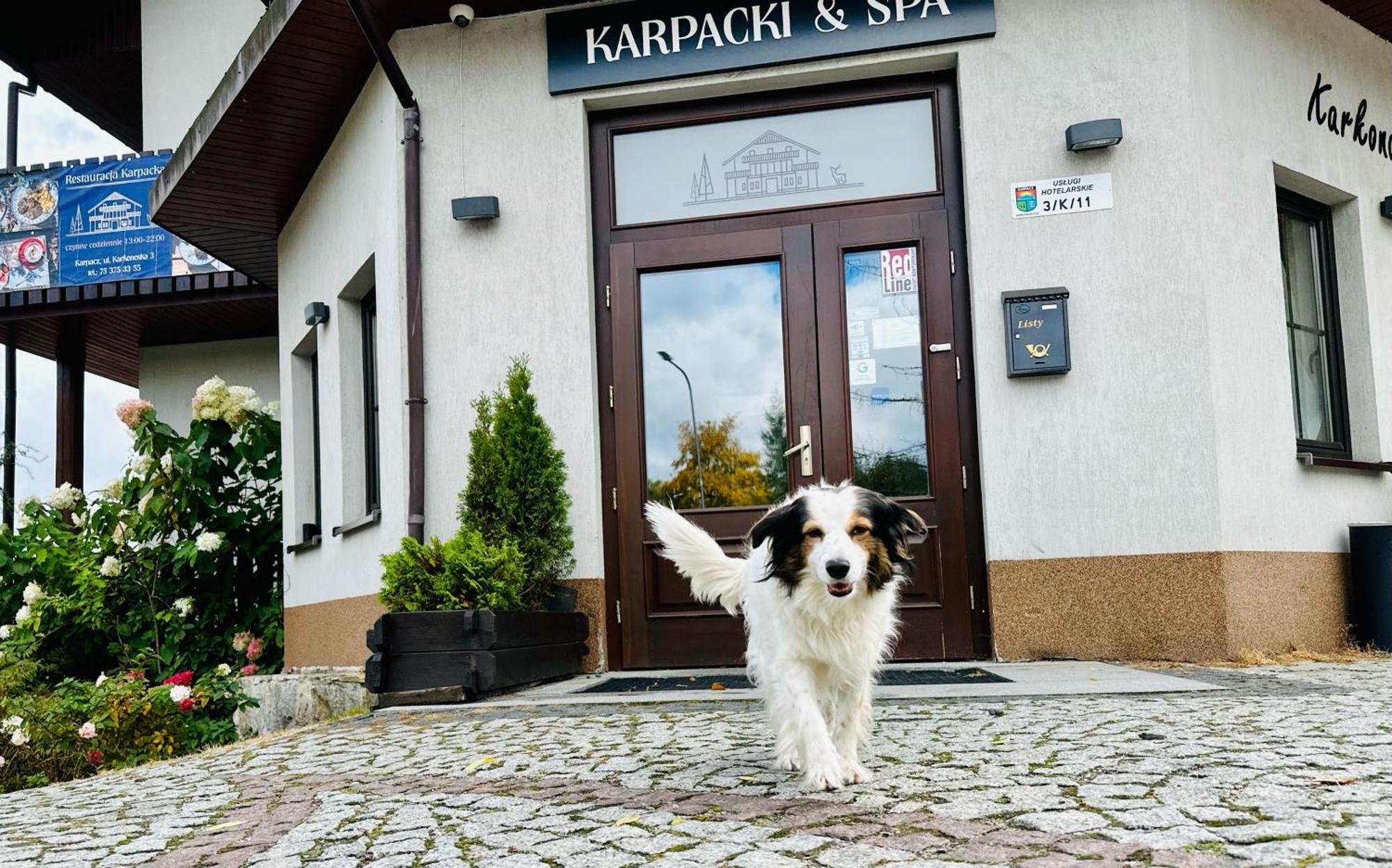Karpacki & Spa - Blisko Wyciagu, Restauracja, Sala Zabaw, Bar 24H (Adults Only) Karpacz Exterior photo